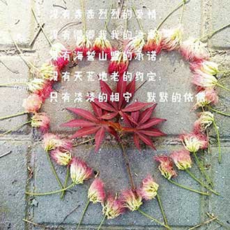 但愿时光如初见下一句
