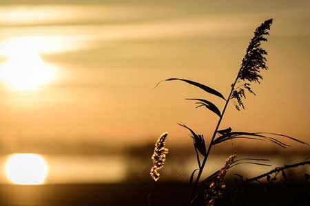 远山冷冰冰下一句