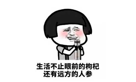 这个世界太疯狂下一句