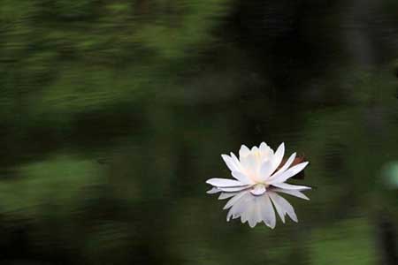 受益匪浅的下一句