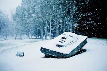 小张许的什么愿下一句