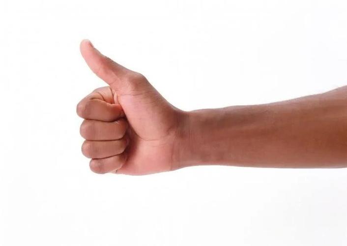 十个手指有长短下一句