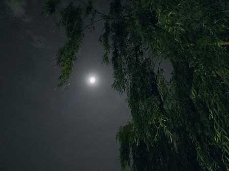 早晨下雨当日晴下一句