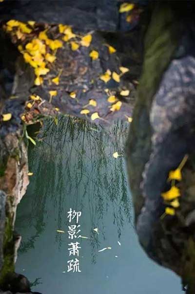 白露为霜下一句