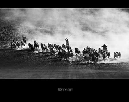 策马扬鞭下一句