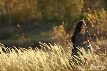 等风来下一句是什么