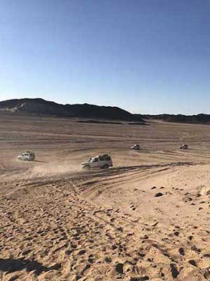 脱了缰的野马下一句