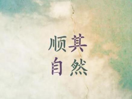 放空自己下一句是什么