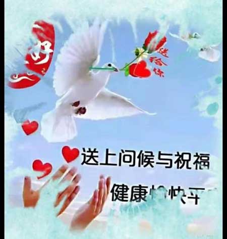 岁寒知松柏的下一句是什么