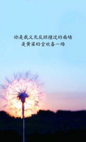 深情总是被辜负下一句