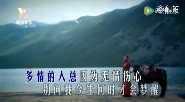 痴情总被无情伤下一句