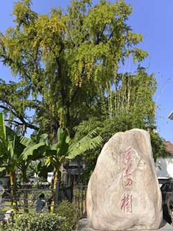 晴川历历汉阳树的下一句是什么