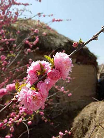 春梦无痕下一句