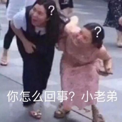 没人疼没人爱我是地里的小白菜下一句