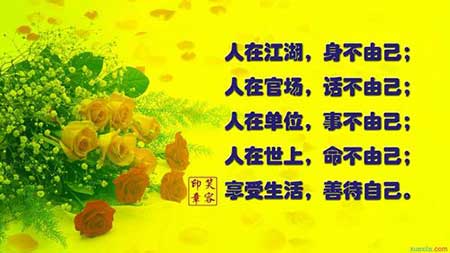 小花小花顺口溜下一句