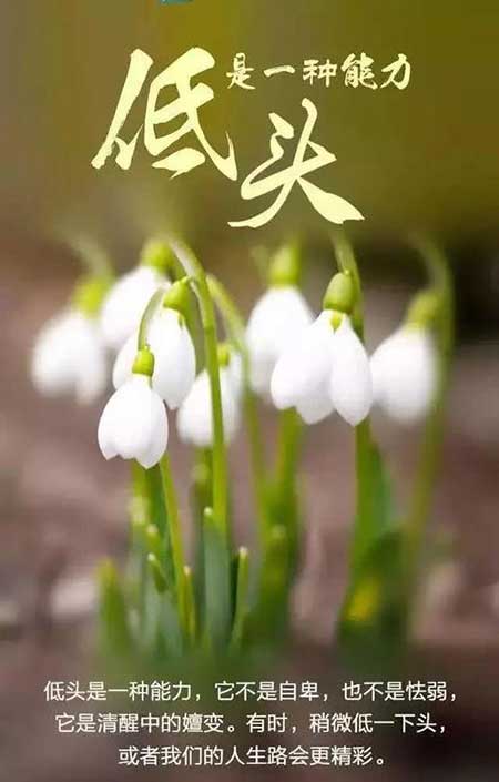 生活还在继续下一句