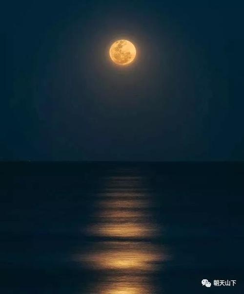 明月出天山的下一句