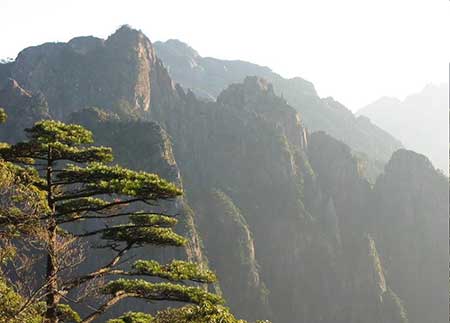 中国有座山叫终南山下一句