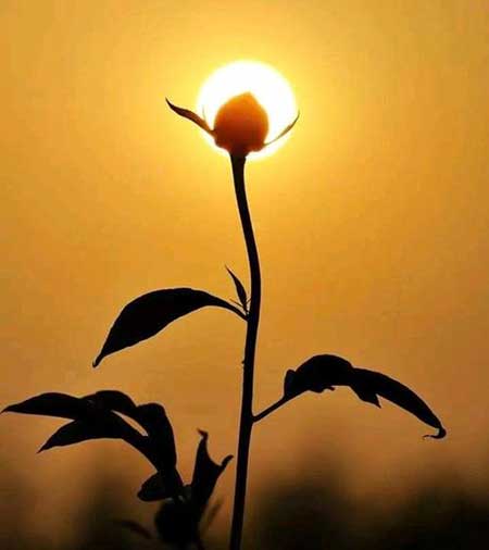 良言一句三冬暖的下一句是什么