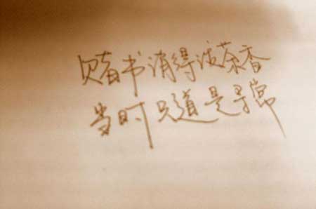 珍惜眼前人下一句