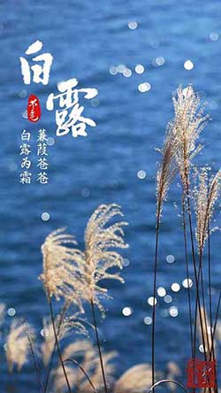 露从今夜白的下一句是