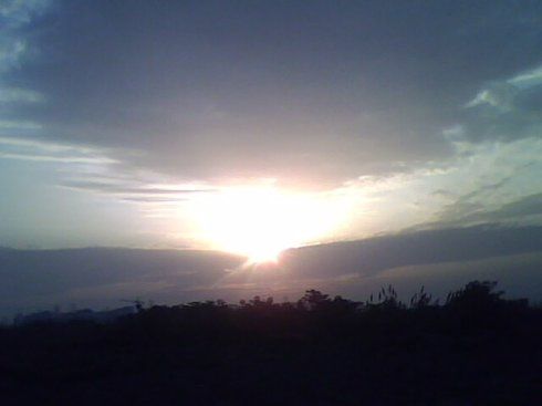 活在阳光下一句是什么