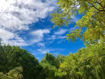 雨过天晴的下一句