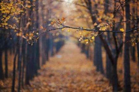 时光无声下一句是什么