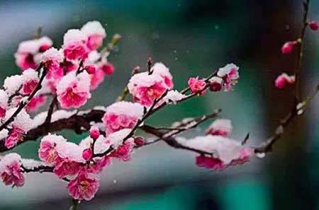 祸不单行下一句