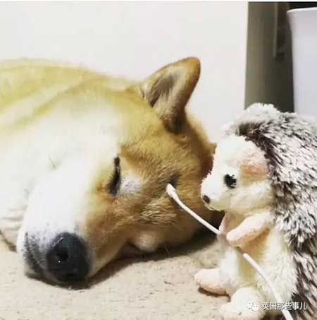 睡他个天昏地暗下一句