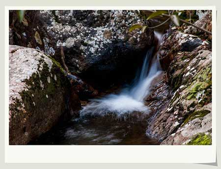 泉眼无声惜细流的下一句是什么