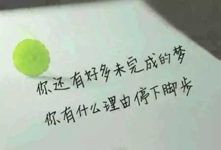 初心依旧下一句是什么