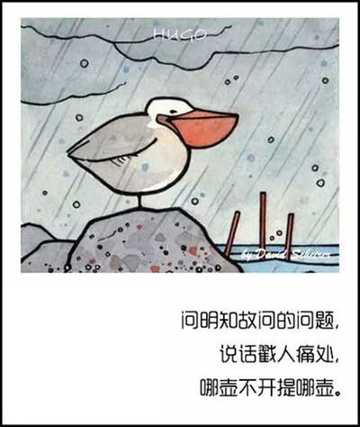 哪壶不开提哪壶下一句