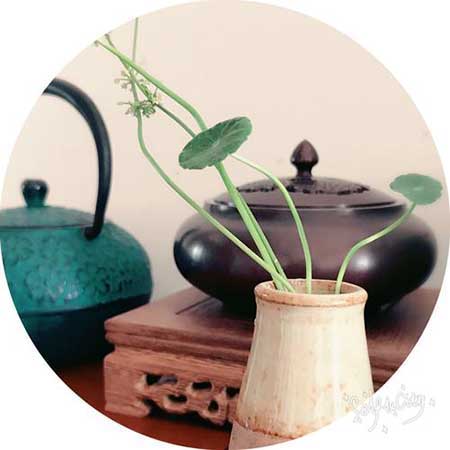 随心随性随缘下一句