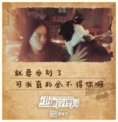 陪我久一点吧下一句