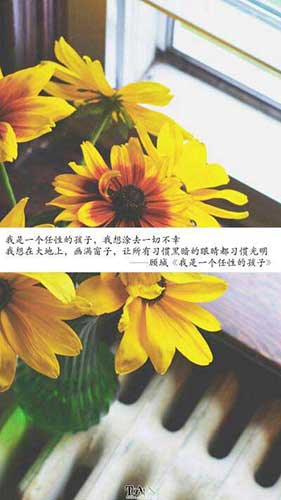 南风过境下一句是什么