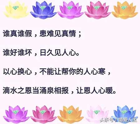 滴水之恩下一句