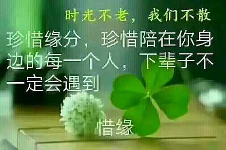 弹指一瞬间下一句