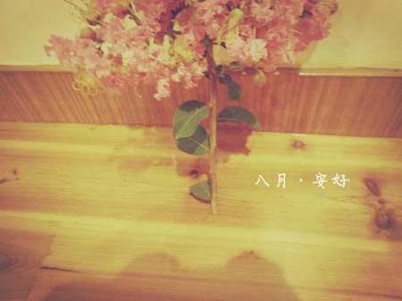 愿君安好下一句