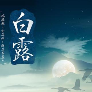 路从今夜白的下一句