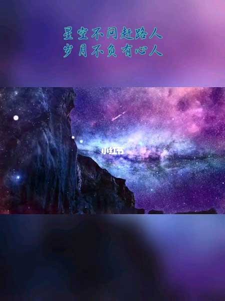 有心自有爱下一句