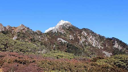 苍山有井名为空下一句