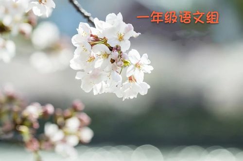 陌若安生下一句是什么