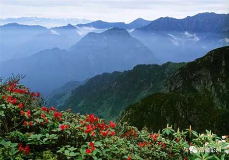 只在此山中下一句