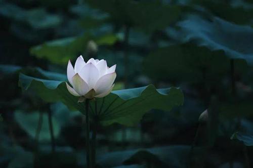 世道人心下一句