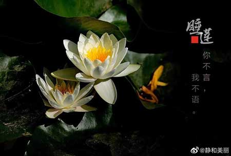 久逢甘露下一句是什么