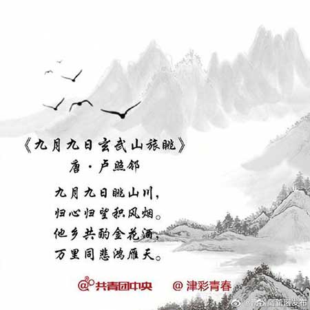 遥知兄弟登高处下一句