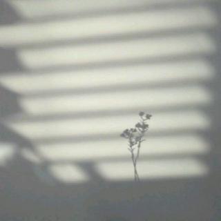 无需多言的下一句