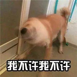 不听不听王八念经下一句