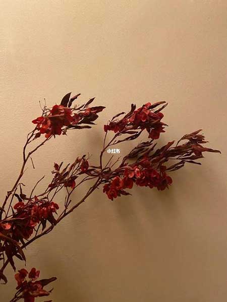 人望山鱼窥荷下一句